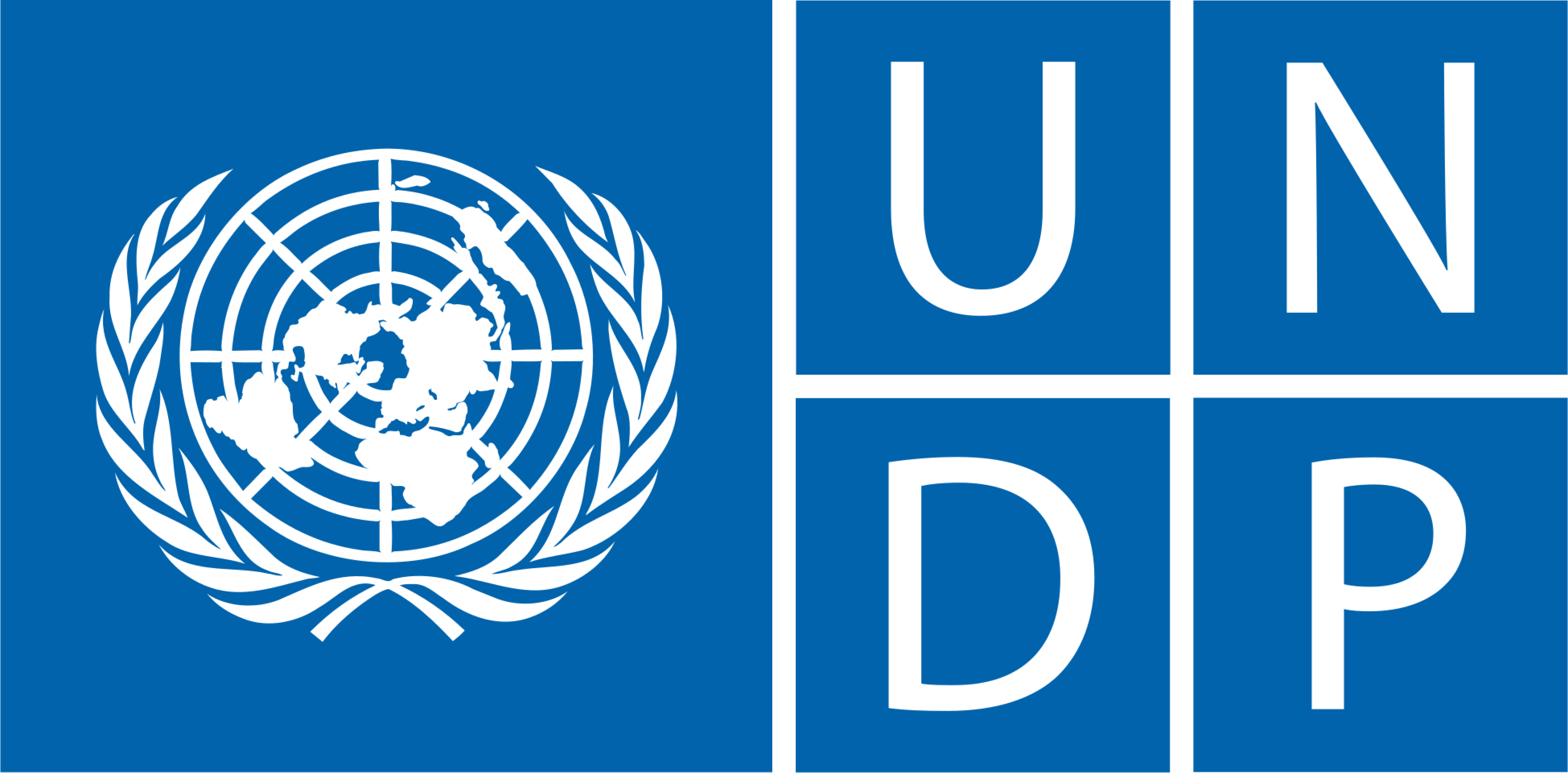 UNDP